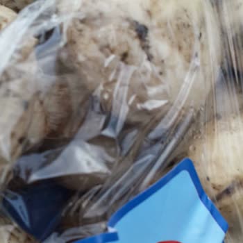 Yunus Market Bozuk Mantar Satıyor