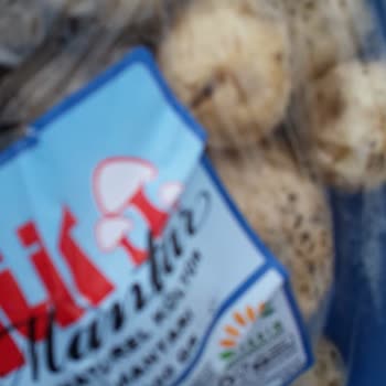 Yunus Market Bozuk Mantar Satıyor