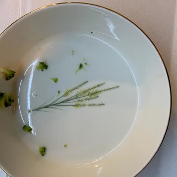 Porland Tabağım Yemek Koyduğumda Çatladı