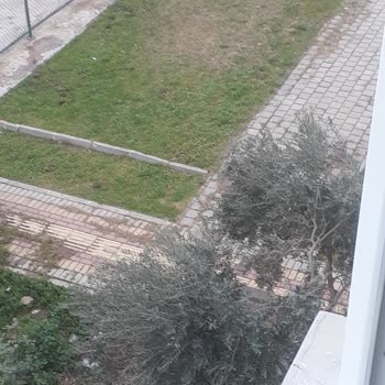 Antalya Emniyet Müdürlüğü Parkta Yapılan Uygunsuz Davranışlar!