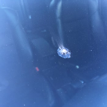 Aksigorta Cam Hasarı, Dolar Endeksli Fiyat Farkına Çözüm Üretmiyor