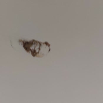 Kelebek Mobilya Çocuk Odası Takımı Teslimatı Ve Montajındaki Sorunlar