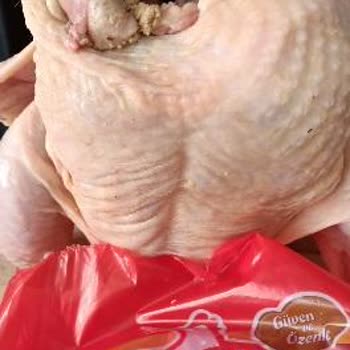 Şenpiliç Hayal Kırıklığına Uğrattı