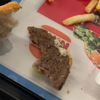 Burger King Köftelerinin Kabarcıklı Görüntüsü