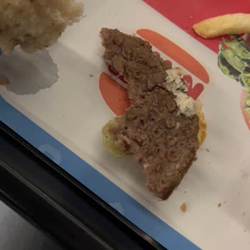 Burger King Köftelerinin Kabarcıklı Görüntüsü