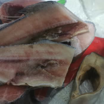 BİM Zehirli Balık Satıyor