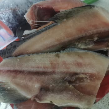 BİM Zehirli Balık Satıyor