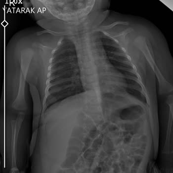 Ekol Gurup Özel Sada Hastanesi