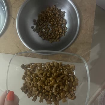 Hepsiburada Kedi Mamasında Şüphe