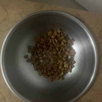 Hepsiburada Kedi Mamasında Şüphe