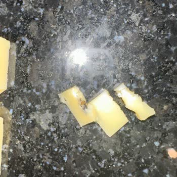 File Marketin Kendi Harras Markası Kaşardan Böcek Çıktı