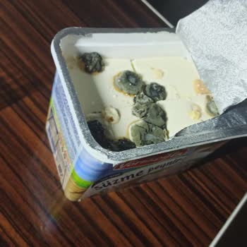 Yörükoğlu Küflü Süzme Peynir