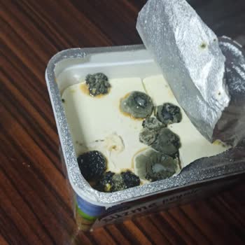 Yörükoğlu Küflü Süzme Peynir