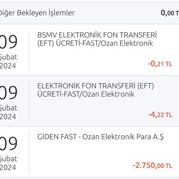 Ozan Elektronik Para Aş Nin İnternet İşlemleri Hakkında