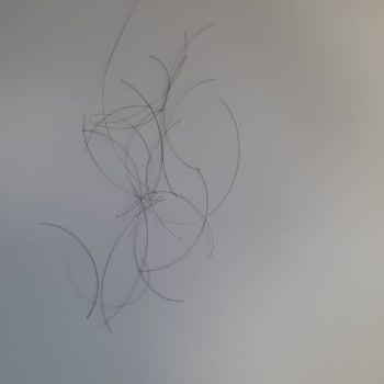 Hs Hair Style Saç Dökülmesi Sorunu