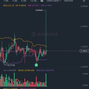 Binance Satış Emrini Yerine Getirmemesi