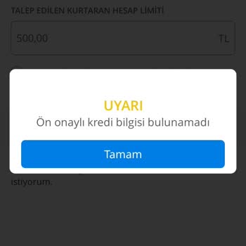 Denizbank Onay Limit Sorunu?