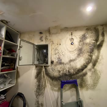 Ethica Sigorta Mağduriyeti: Beklentiler Karşılanmadı