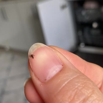 Migros Kızıltepe Ekmekten Cisim