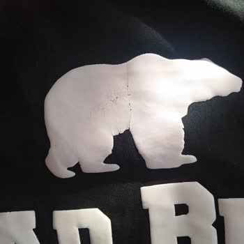 Bad Bear T-shirt Logosu B