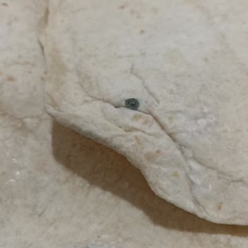 Şok Marketler Şok Lavaşları Küflenmiş