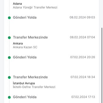 Trendyol Ekspres Ayıbı Ürün