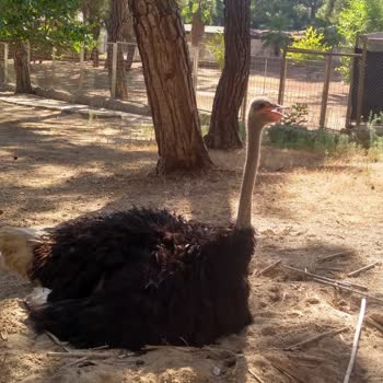 A101 Lütfen Mağduriyetimi Çözün