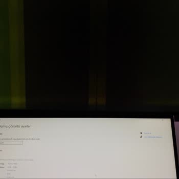 Samsung G3 Monitör Panel Arızası