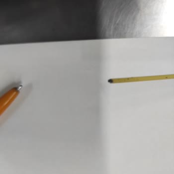 Nuh'un Ankara Makarnası Böceklenmiş Spagetti Makarna