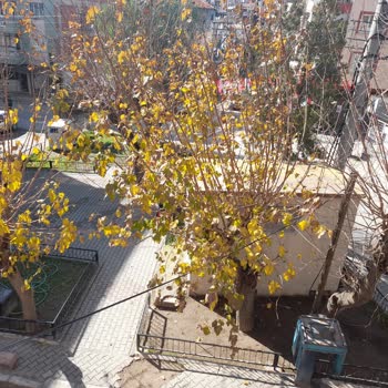 Bayraklı Belediyesi Yıllardır Park Işıkları Sorununu Halledememesi