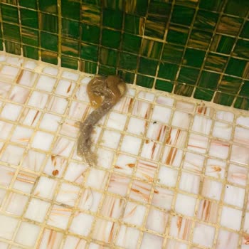 Özgül Termal De Eski Günler Nerede