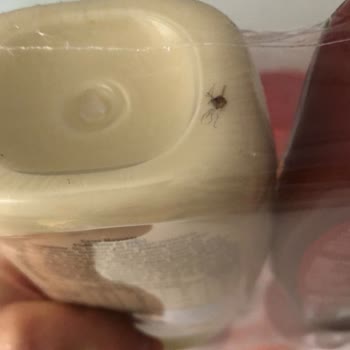 Calve Mayonez İçinde Böcek