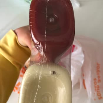 Calve Mayonez İçinde Böcek