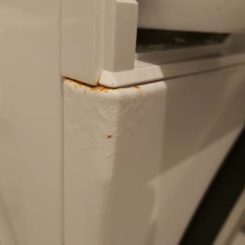 Bosch Çamaşır Makinesi Paslanma Sorunu