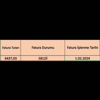 Fiyuu Firması Paramı Yatırmıyor