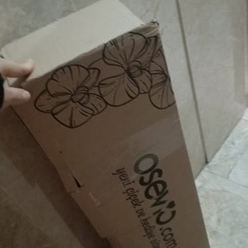 Osevio.com Hediye Çiçek Hayal Kırıklığı