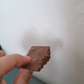 BİM'den Aldığım Buono Bademli Çikolatadan Kıl Çıktı!