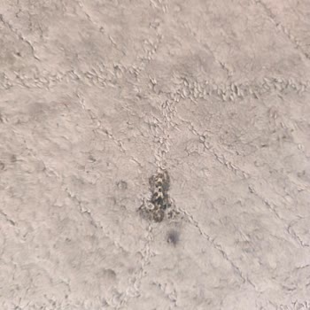 Ümit Travel Umre Yalan İle Getirdi Pis Otellere Verdiler