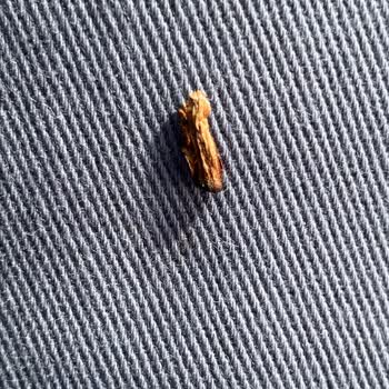 Philip Morris Sigara Değil Çöp Sanki