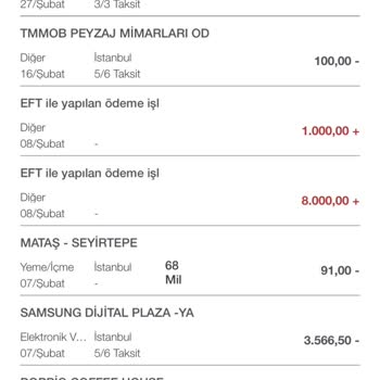 Garanti BBVA Ekstre Sorunu