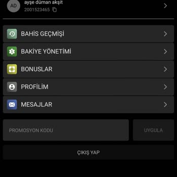 Bettitanic Ödeme Yapmadılar Site