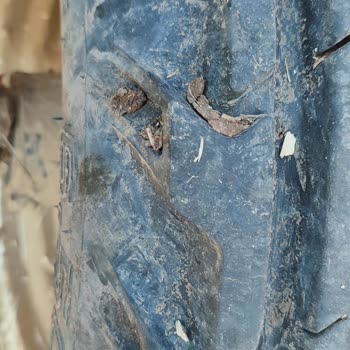 Yeni Traktörümün Lassa Lastikleri Sürekli Patlıyor