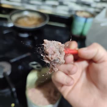 İlkeral Gıda (Pati Life) Pati Life Yaş Yetişkin Kedi Mama