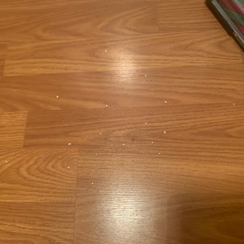 Heifer Dik Süpürge Arızası