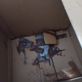 Yurtiçi Kargo Kargoların Hasarlı Gelmesi
