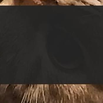 Tecno Camon 20 Pro Kilit Ekranı Bildirimlerinde Önizleme Görememek.