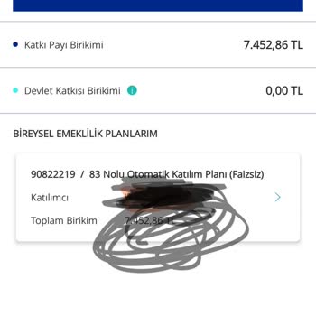 Metlife Devlet Katkı Payı Vermiyor Mu?