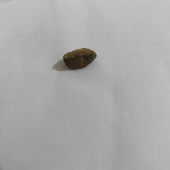 Çerezya Kalite Kontrol Eksikliği Ve Güvenlik Endişesi