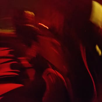 ViP Malatyalılar Turizm Vip Malatyalılar Tarih 09 02 2024 Saat 18 Kayseri İstanbul