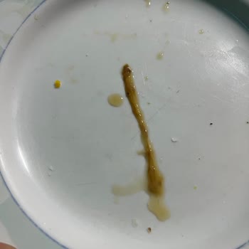 Kahve Dünyası'nda Beklenmedik Misafirler!